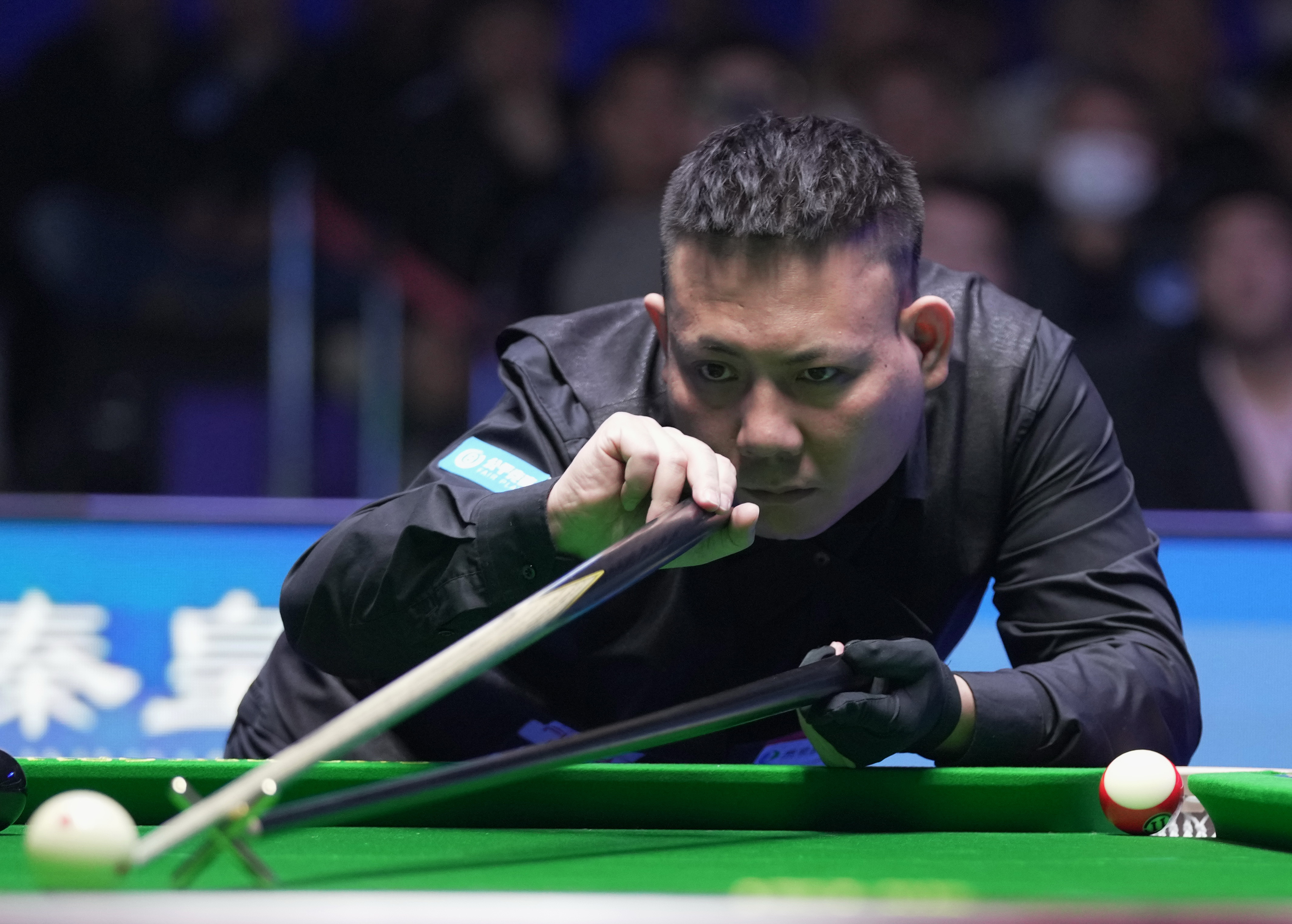 志再次吸引 志再次吸引