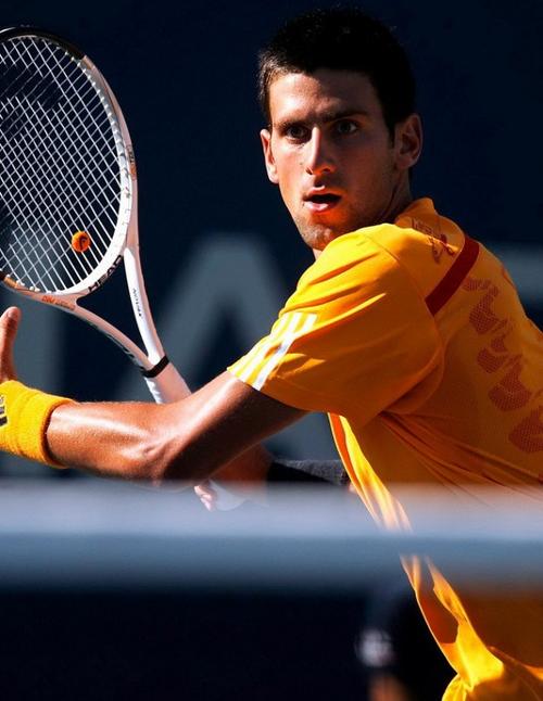 穆帅在欧战 穆帅在欧战